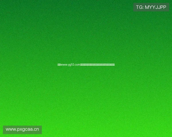 探索www.ygf.0.com网站的独特功能与优势助力用户高效体验全新网络服务